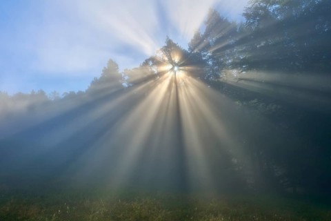 Sunbeams break through a misty forest and create a mystical atmosphere, Mönchberg, Miltenberg,