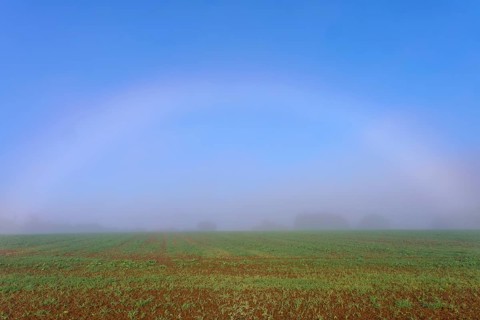 An arc of fog stretches across a misty morning sky, overlooking fields, Mönchberg, Miltenberg,