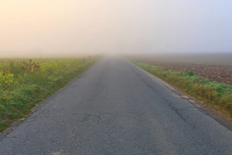 Abandoned road in the fog, flanked by fields, in calm autumn light, Mönchberg, Miltenberg,