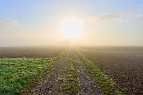 A country lane stretches into a misty landscape bathed in sunlight, Mönchberg, Miltenberg,