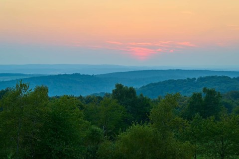Hill with trees at dusk, pink sky, quiet landscape, Geishöhe, Dammbach, Spessart, Bavaria, Germany