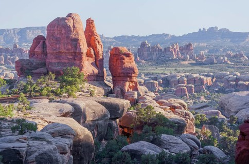 Sandstone pinnacles, Chesler Park, The Needles district, Canyonlands National Park, Utah, USA