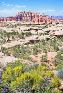 Sandstone pinnacles, Chesler Park, The Needles district, Canyonlands National Park, Utah, USA