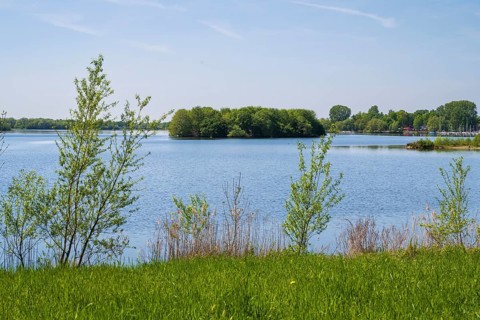 Shrubs on the shore of the Lippesee, reservoir, Sande, Paderborn, Westphalia, North