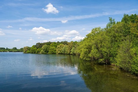 Trees on the shore of the Lippesee, reservoir, Sande, Paderborn, Westphalia, North