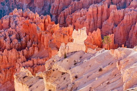 Bryce Canyon, Bryce Canyon National Park, Utah, USA