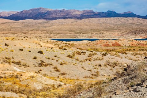 Echo wash drains into the Overton Arm of Lake Mead at Echo Bay, Nevada, USA