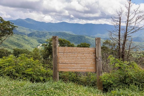 Sign along the Blue Ridge Parkway tells the origin of the Plott Bear Hounds in the Plott Balsam