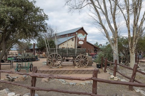 Antique covered wagon on display at the Wildseed Farms nursery in Fredericksburg, Texas, USA