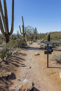 Trailhead for the Bajada Wash Trail at the Organ Pipe Cactus National Monument in southern Arizona,