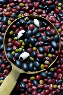 Various beans in ladle, dried beans