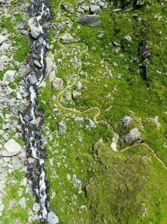 Hiking trail winds through mountain meadows interspersed with stones next to a mountain stream,