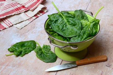 Spinach in sieve bowl, Spinacia oleracea