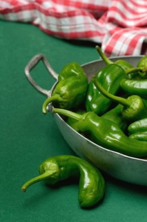 Padron chilli peppers in shell, Pimientos de Padron