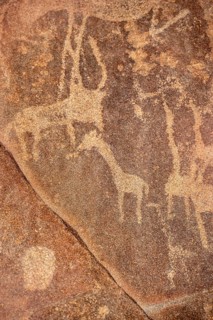 Detail, Depictions of animals on a rock slab, petroglyphs, rock engravings, Twyfelfontein, Kunene,