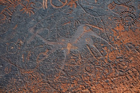 Detail, Depictions of animals and patterns on a rock slab, petroglyphs, rock engravings,