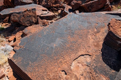 Depictions of animals and patterns on a rock slab, petroglyphs, rock engravings, Twyfelfontein,