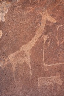 Detail, rock engraving of a giraffe, depictions of animals on a rock slab, lion slab, petroglyphs,