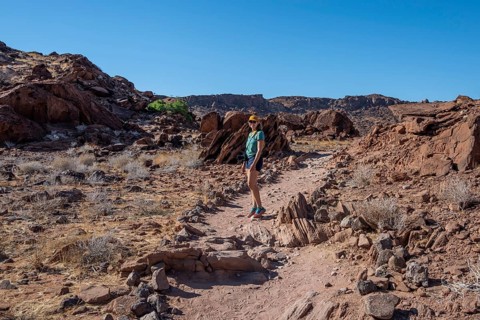 Tourist on a hiking trail in a barren landscape, visiting the rock engravings of Twyfelfontein,