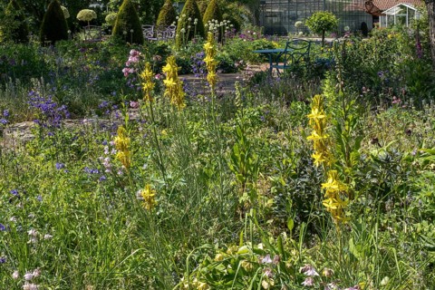 District educational garden, Burgsteinfurt, Münsterland, North Rhine-Westphalia, Germany