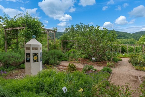 Church and Bible garden of St Crucis Church, Bad Sooden, Allendorf, Allendorf district, symbol of