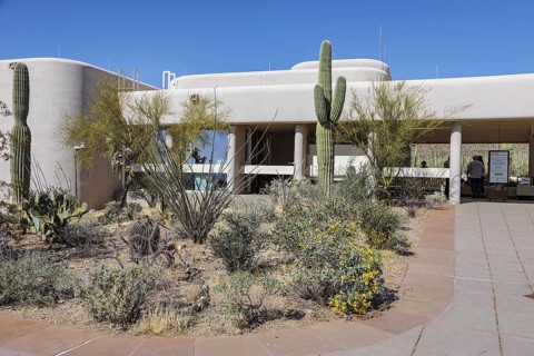 Variety of cactus types at the entrance to the Red Hills Visitor Center of the Organ Pipe Cactus