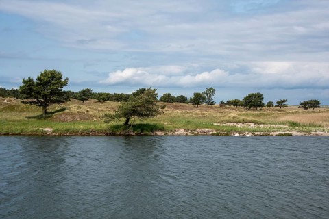 Quiet former emergency harbour with grassy shores and scattered trees under a cloudy sky, Prerow,