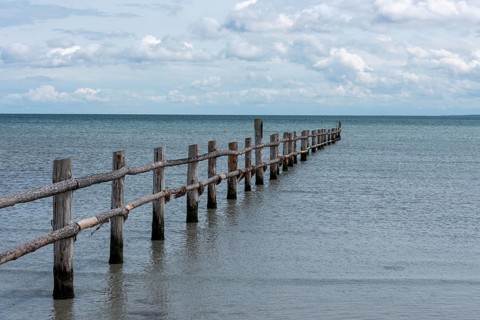 Long wooden jetty juts out into the calm sea with a cloudy sky on the horizon, Prerow,