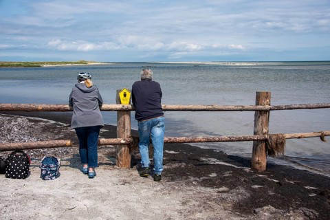 Two people watching the calm sea behind a wooden fence on the coast, Prerow,