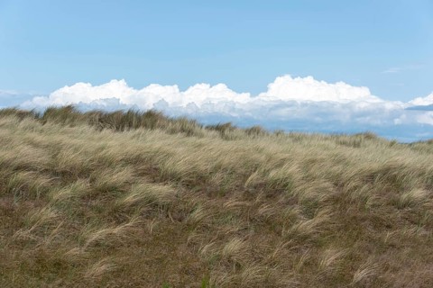 A strong wind blows over the dunes of the Baltic Sea coast, mighty cumulus clouds pile up in the