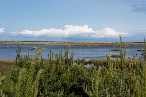 Darßer Ort, Cumulus clouds, National Park Vorpommersche Boddenlandschaft, Prerow,