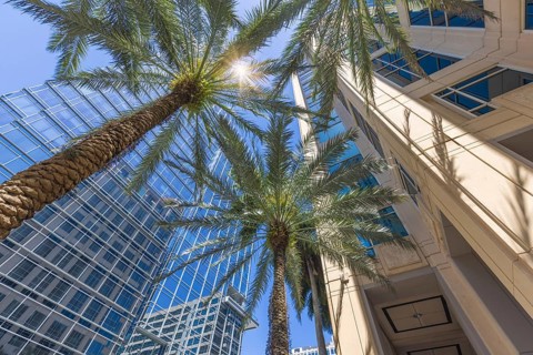 Florida, Fort Lauderdale, Las Olas Boulevard. Downtown financial district and city skyline