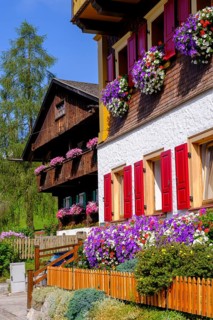 Old farmhouses in the Fontna district, Sappada, Plodn, Carnic Alps, Julian Friuli, Italy