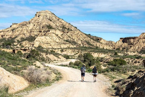 Hikers on gravel road Ruta Jubierre, desert, rock formations, Desierto de los Monegros, Spain