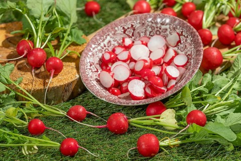 Bowl with sliced radishes on a green surface, surrounded by fresh radishes