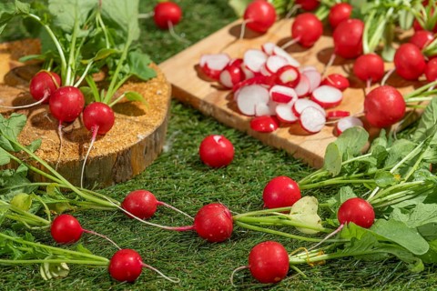 Fresh radishes, partly sliced, arranged on a wooden board on a green meadow