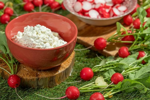 Bowl of cottage cheese surrounded by fresh radishes on a green meadow