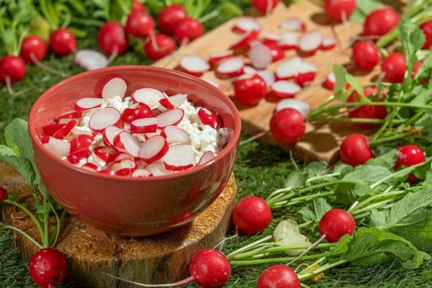 Bowl with cottage cheese and fresh radishes on a green meadow