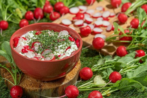 Bowl with cottage cheese, fresh radishes and herbs on a green meadow