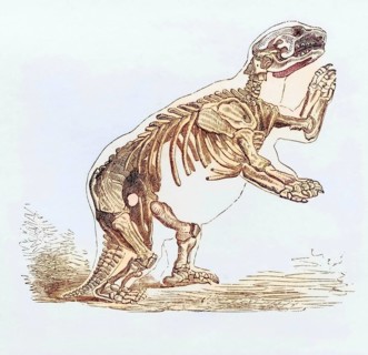 Skeleton of Mylodon Darwinii from the book Journal of Researches by Charles Darwin, also known as