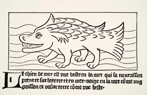 The seal after a wood engraving in Dyalogue des Creatures, published in 1482. From Science and