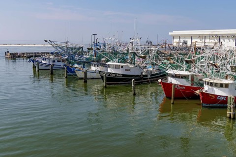 Biloxi Commercial Harbor in Biloxi, Mississippi