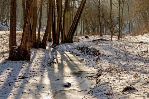 Snow-covered stream in the forest, illuminated by the sun's rays, The Dragon Gorge near Eisenach in