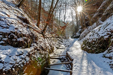 Snow-covered path in the forest with sunlight and trees, The Dragon Gorge near Eisenach in