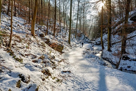 Forest path in the snow with a person, sunbeams in the background, The Dragon Gorge near Eisenach