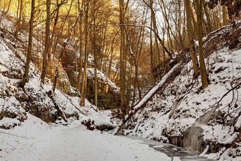 Frozen stream meanders through a snowy forest in warm sunset light, The Dragon Gorge near Eisenach
