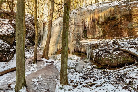 Frozen waterfall on a rock face in a snow-covered winter forest, surrounded by tall trees, The