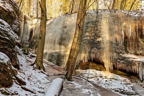 Large frozen waterfall between snow-covered trees in a wintry forest landscape, The Dragon Gorge