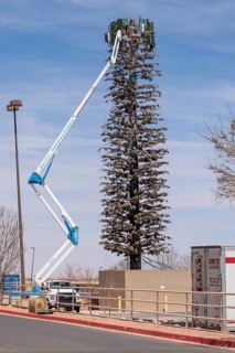 Workers in hydraulic lift truck repairing a cell tower disguised as a tree in Winslow, Arizona