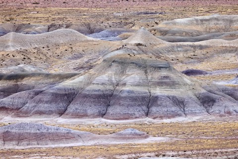 Colorful deposits of the Chinle Formation exposed at Little Painted Desert County Park near